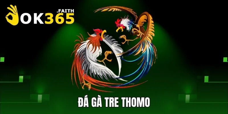 Đá Gà Tre Thomo