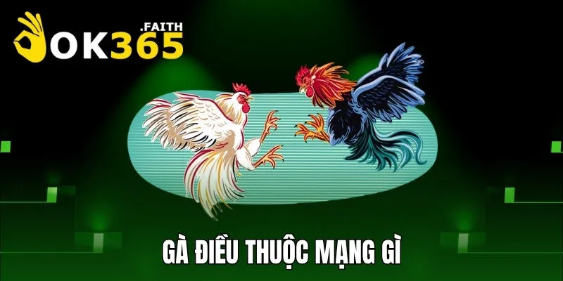 Gà điều thuộc mạng gì