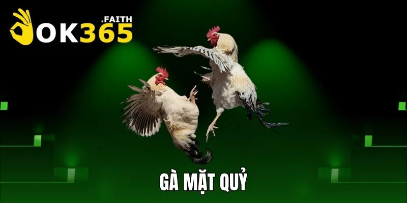 Gà Mặt quỷ