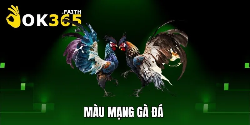 Màu mạng gà đá