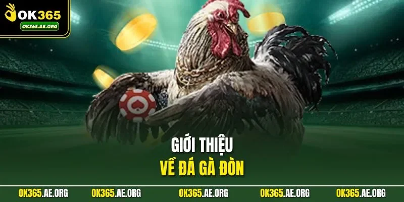Đá Gà Đòn | Tinh Hoa Của Những Trận Đấu Không Vũ Khí 1 Giới thiệu về đá gà đòn